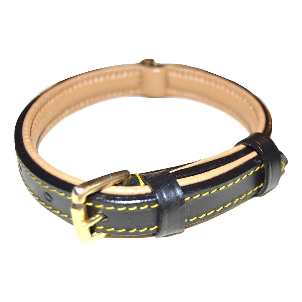 Leather Padded Dog Collar V936