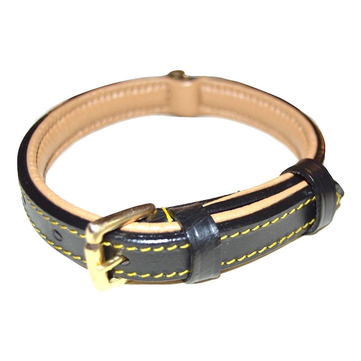 Leather Padded Dog Collar V936