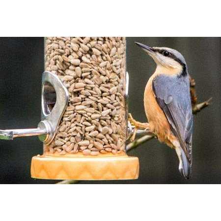 Sunflower Coarse Hearts Bird Seed L47038