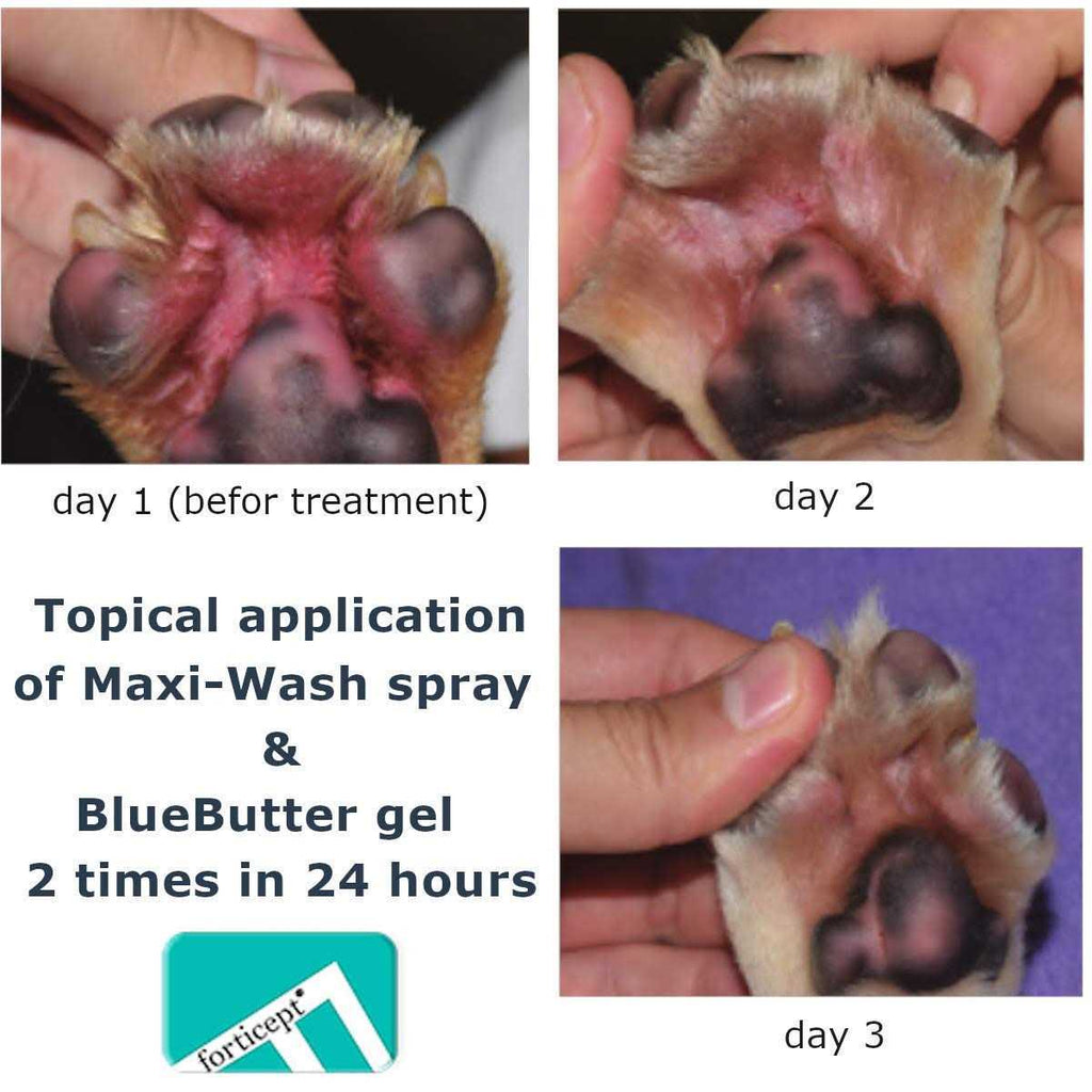 Blue Hot Spot Treatment for Dogs & Cats F466