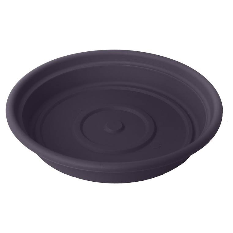 Living Green Saucer 12 in. K52238