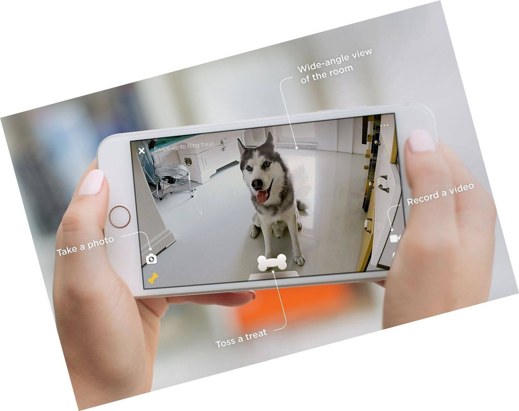 Indoor Pet Camera with Night Vision and Two-Way Audio C444
