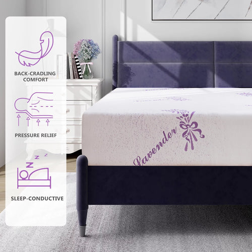 10 inches Queen Memory Foam Mattress L936509