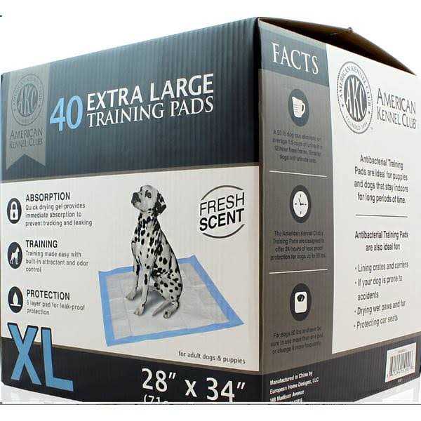 Training Pads E663684