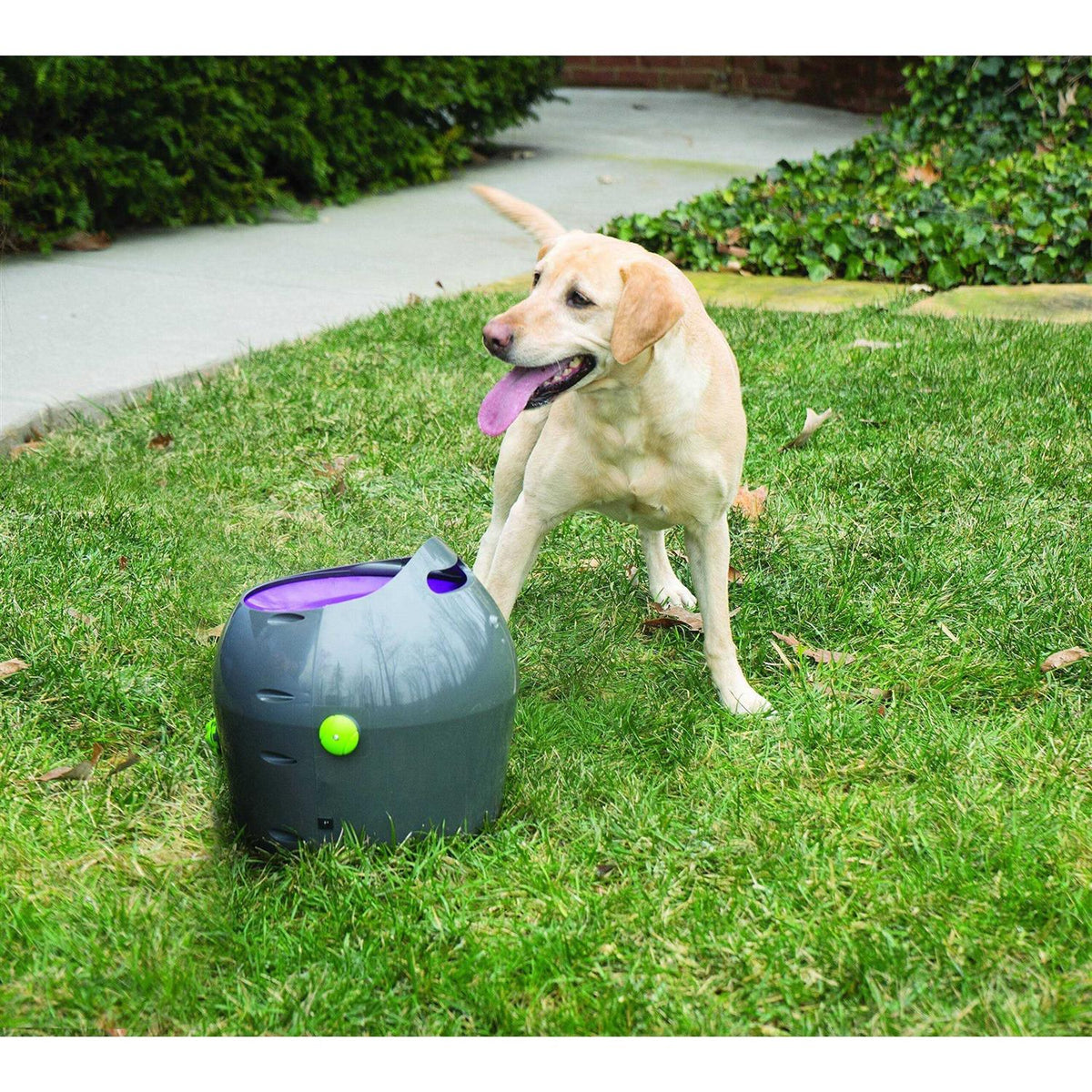 Automatic Ball Launcher Dog Toy E930