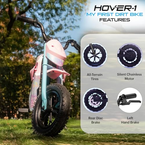 300W Motor 9MPH Max Speed 12” Off-Road Tires Electric Dirt Bike Z4582
