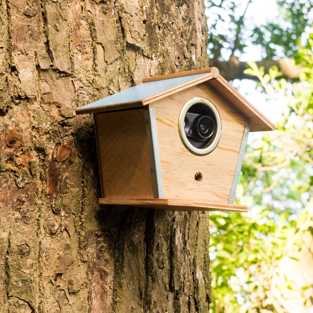 Outdoor Security Camera P771156