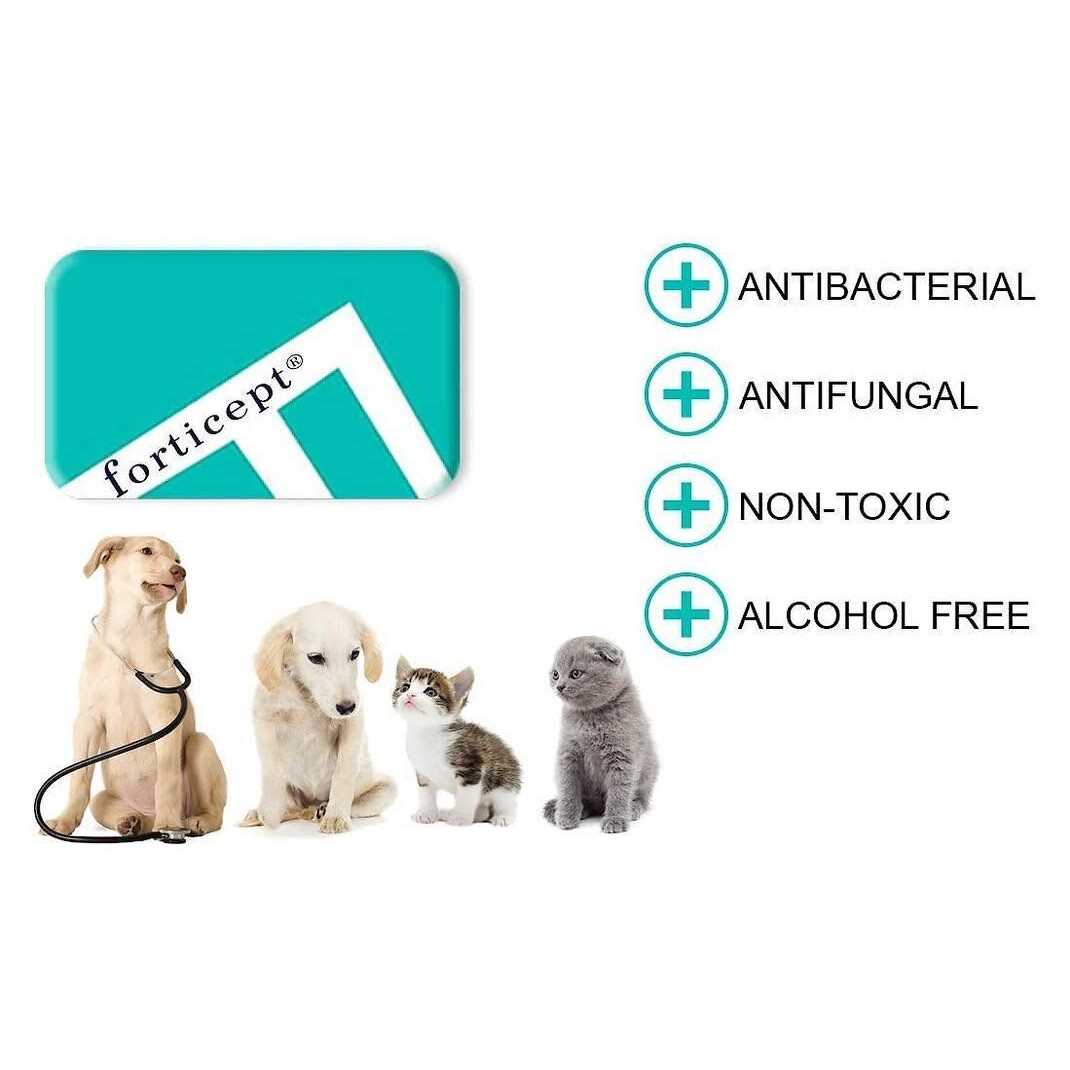 Blue Hot Spot Treatment for Dogs & Cats F466