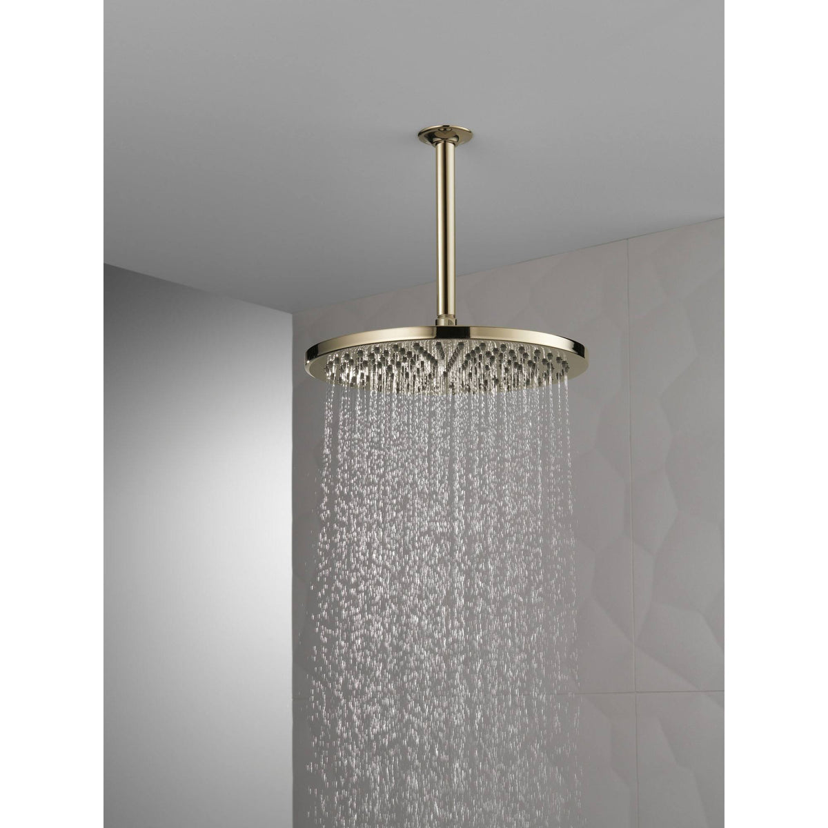 Polished Nickel Metal Raincan Shower Head R80957