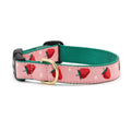 Strawberry Fields Dog Collar M98900