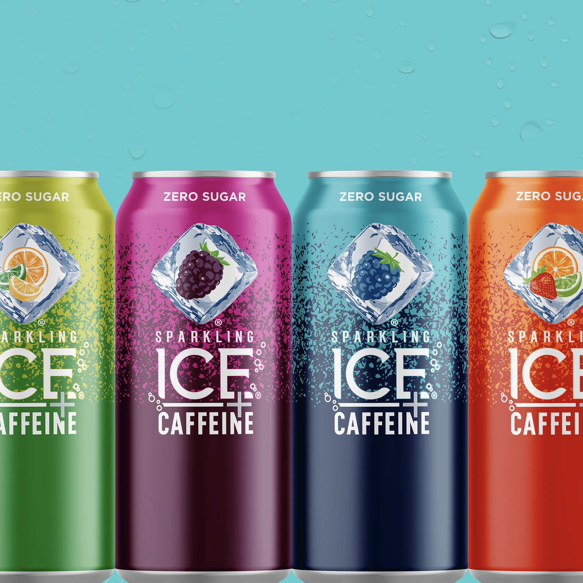 12 16oz Can Flavored Sparkling Water Variety Pack K904