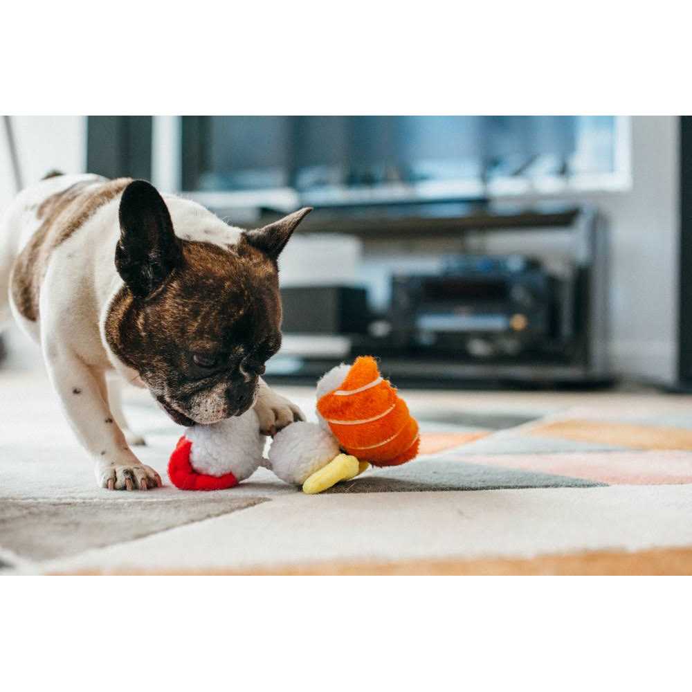 Dog Toy P67705