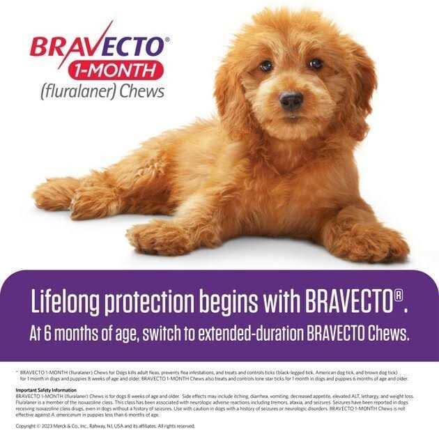 1-Month Chews for Dogs 22-44 lbs O948321