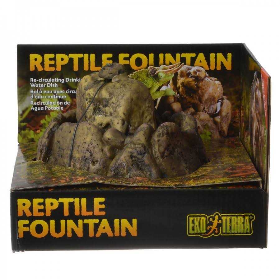 Reptile Fountain G795516