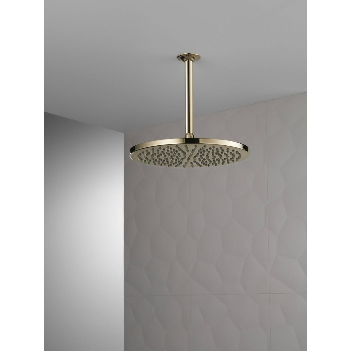 Polished Nickel Metal Raincan Shower Head R80957