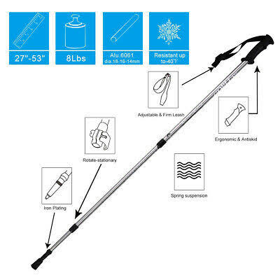 Snowshoes with Walking Poles and Carrying Bag R6569