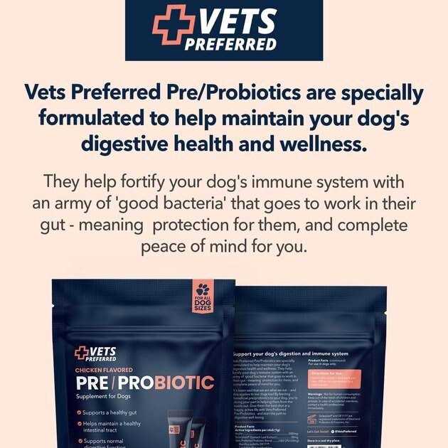 Chicken Flavored Pre-Probiotic Powder Supplement for Dogs 30 Sticks G317