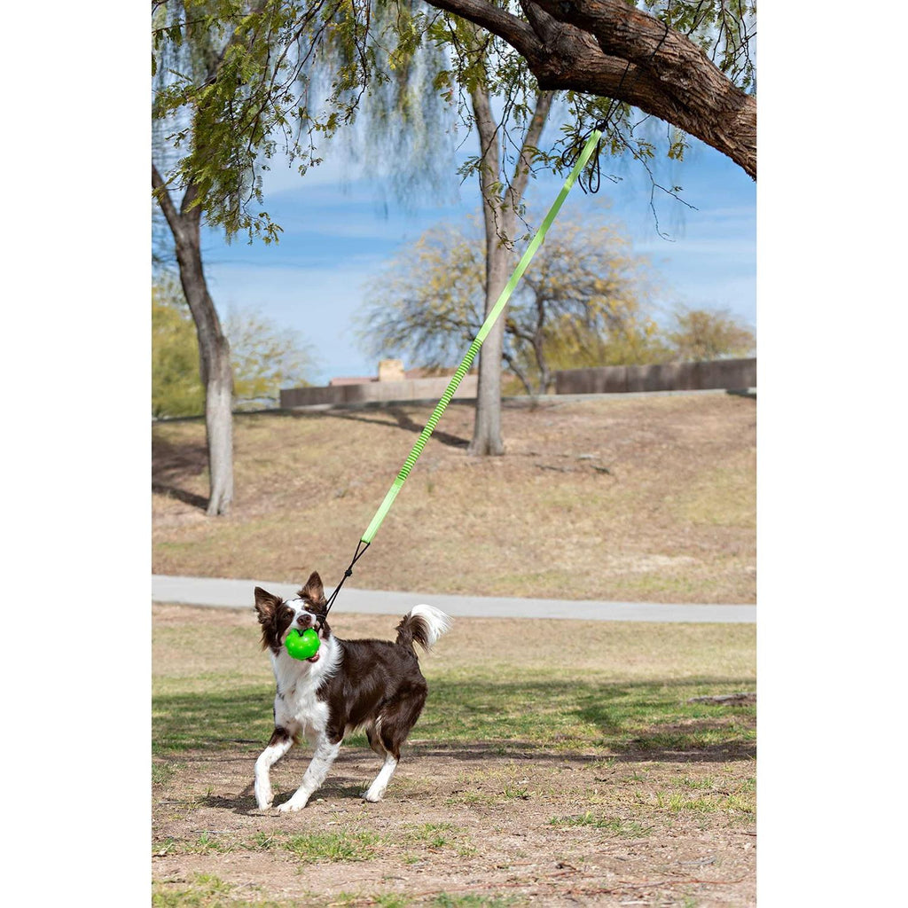 Dog Toy S46761