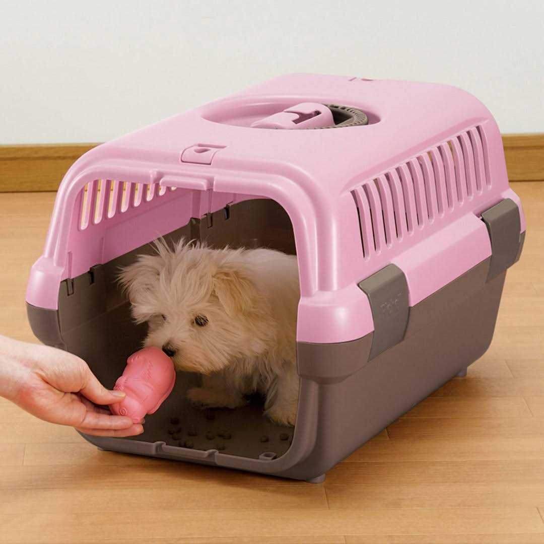 Pet Travel Carrier Y663