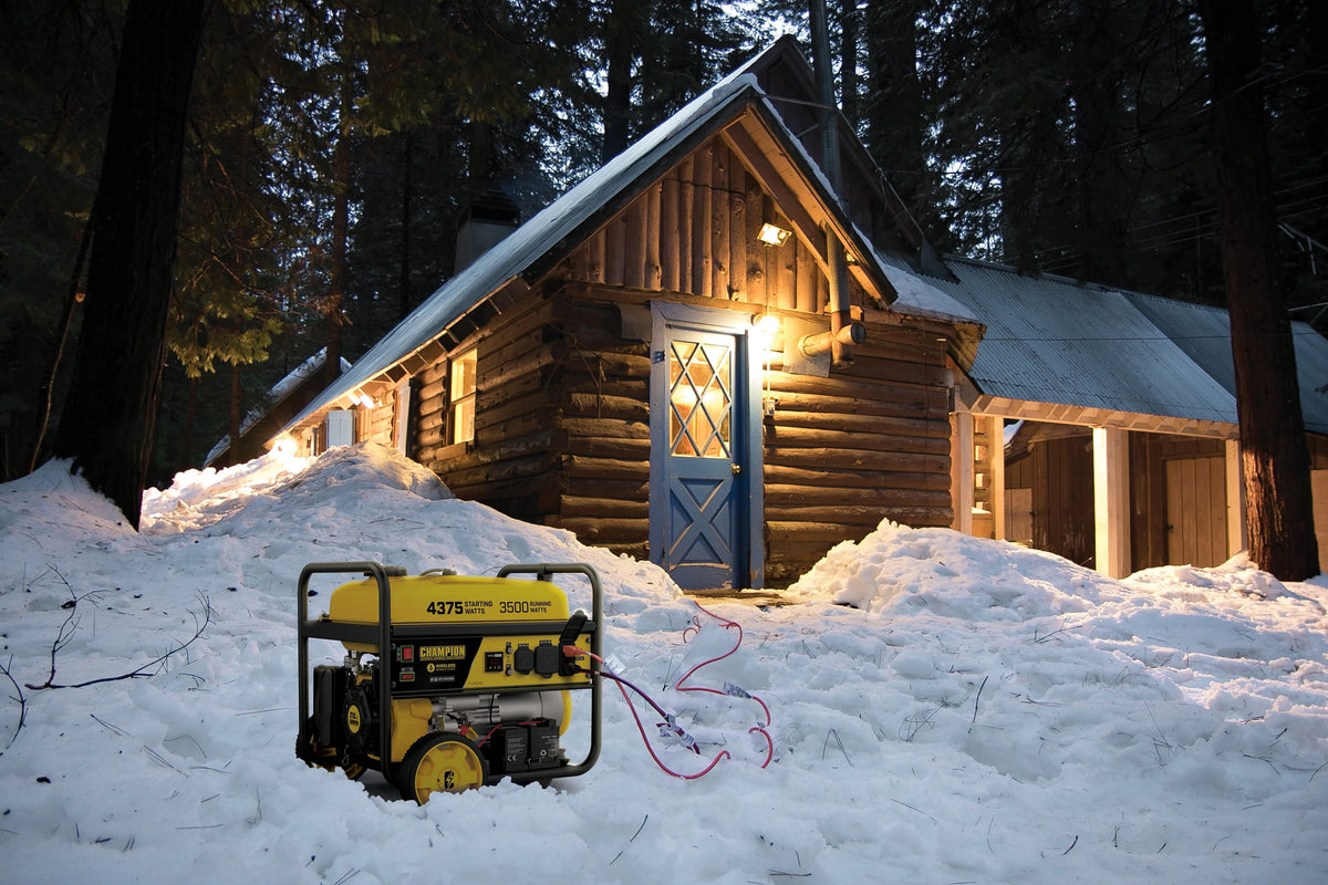 3500 Watts Portable Generator with Remote Start Z815