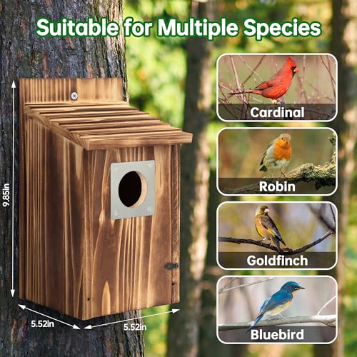 2 Pack Carbonized Wooden Bird Houses with Metal Predator Guard S451