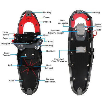 Snowshoes with Walking Poles and Carrying Bag R6569