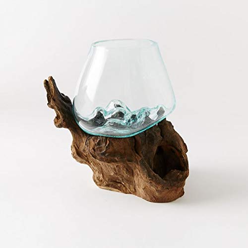 Hand Blown Molten Glass & Teak Wood Terrarium (6" - 7" High) P267091