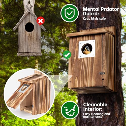2 Pack Carbonized Wooden Bird Houses with Metal Predator Guard S451