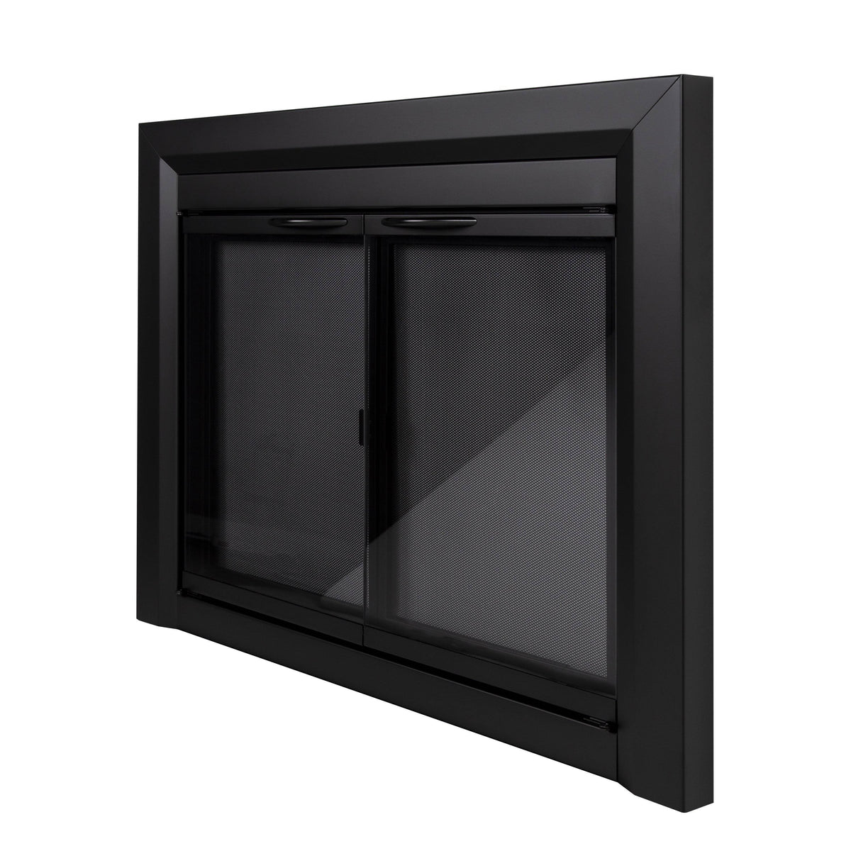 Black Large Fireplace Glass Door E42899