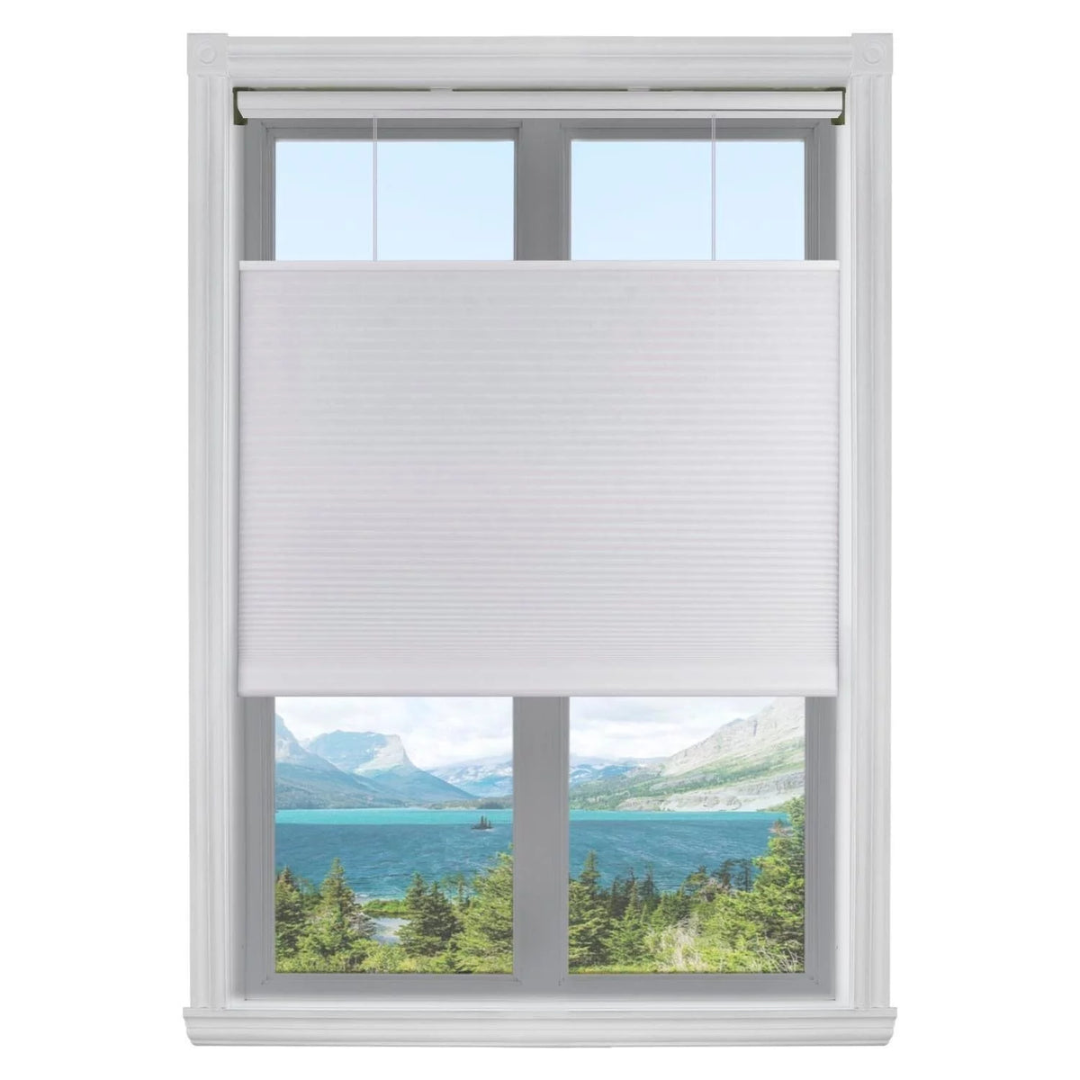 White Cordless Cellular Light Filtering Shade L19605