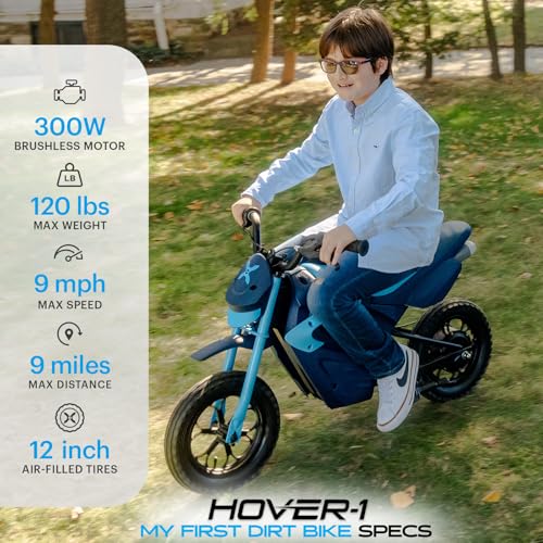 300W Motor 9MPH Max Speed 12” Off-Road Tires Electric Dirt Bike Z4582