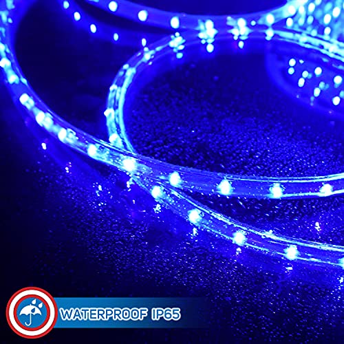 LED Rope Lights with Multifunction Controller 30 Ft K3377