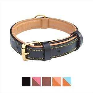 Leather Padded Dog Collar V936
