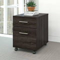 2-Drawer Mobile Vertical Filing Cabinet B7924