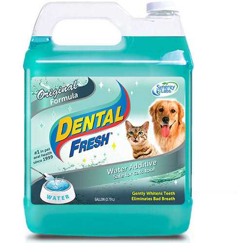 1 Gallon Dental Fresh X747