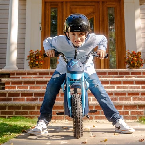 300W Motor 9MPH Max Speed 12” Off-Road Tires Electric Dirt Bike Z4582