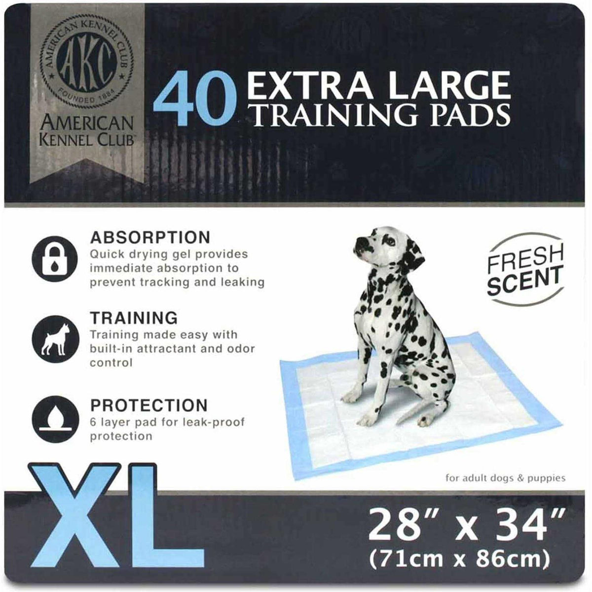Training Pads E663684