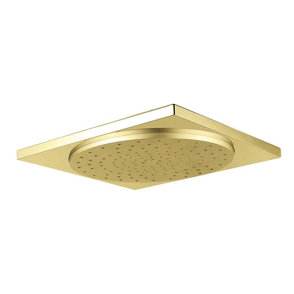 Polished Brass Rain Shower Head Y336900
