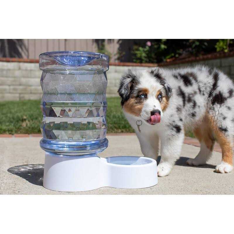 2.5 Gallon Pet Water Dispenser E15244