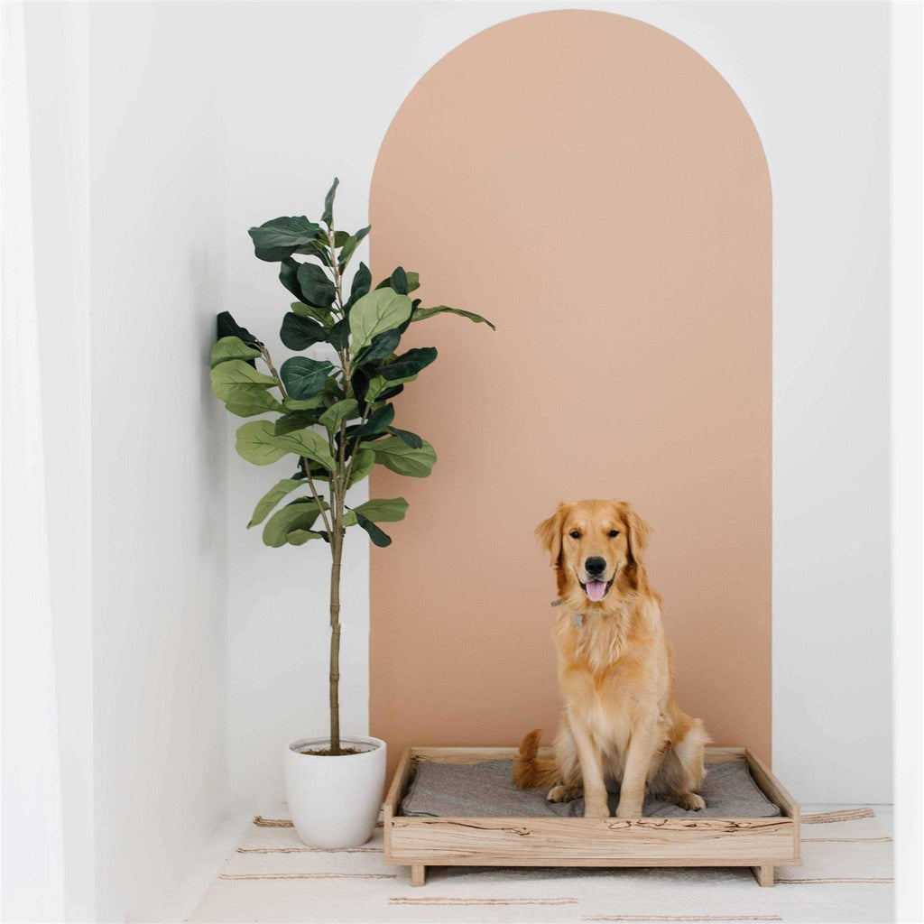 Pet Bed Frame N420856
