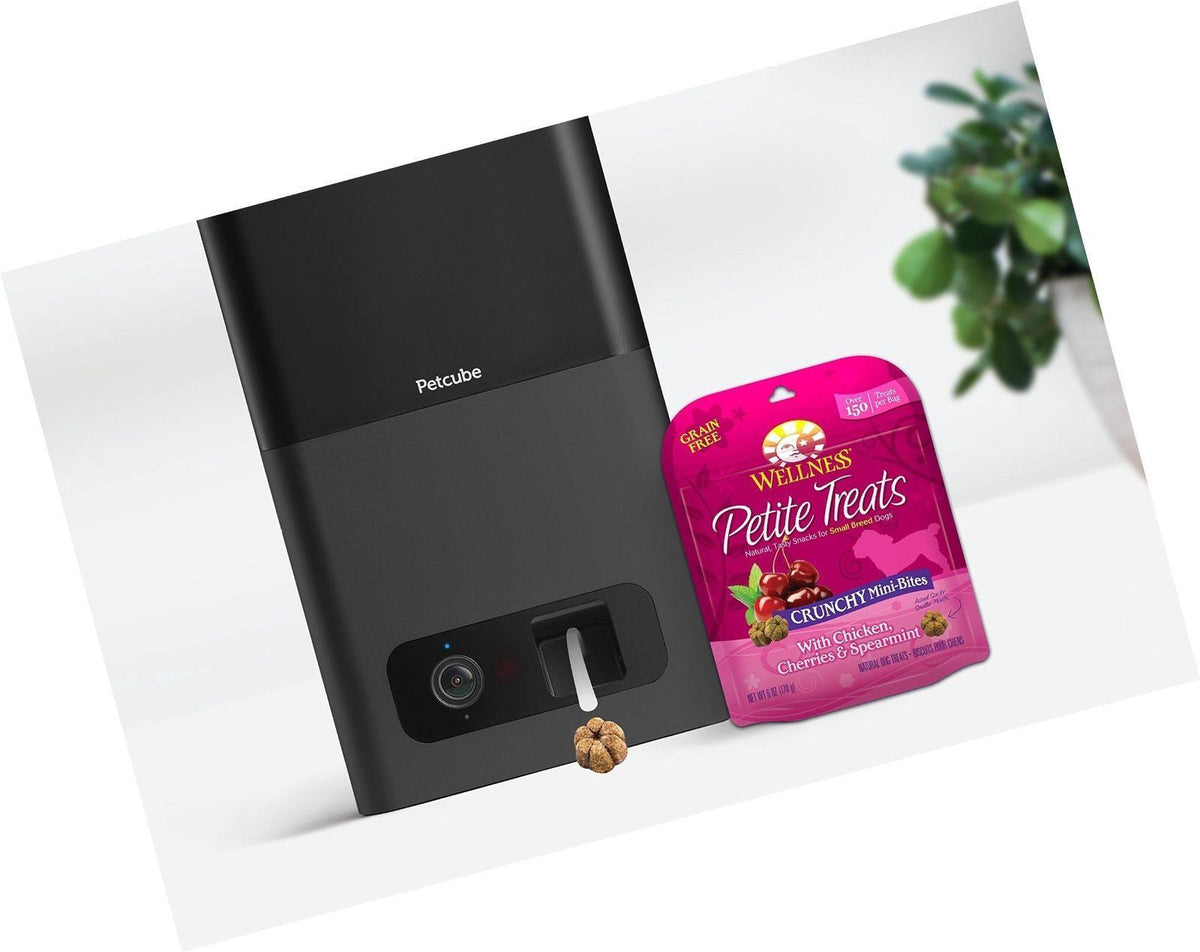 Indoor Pet Camera with Night Vision and Two-Way Audio C444
