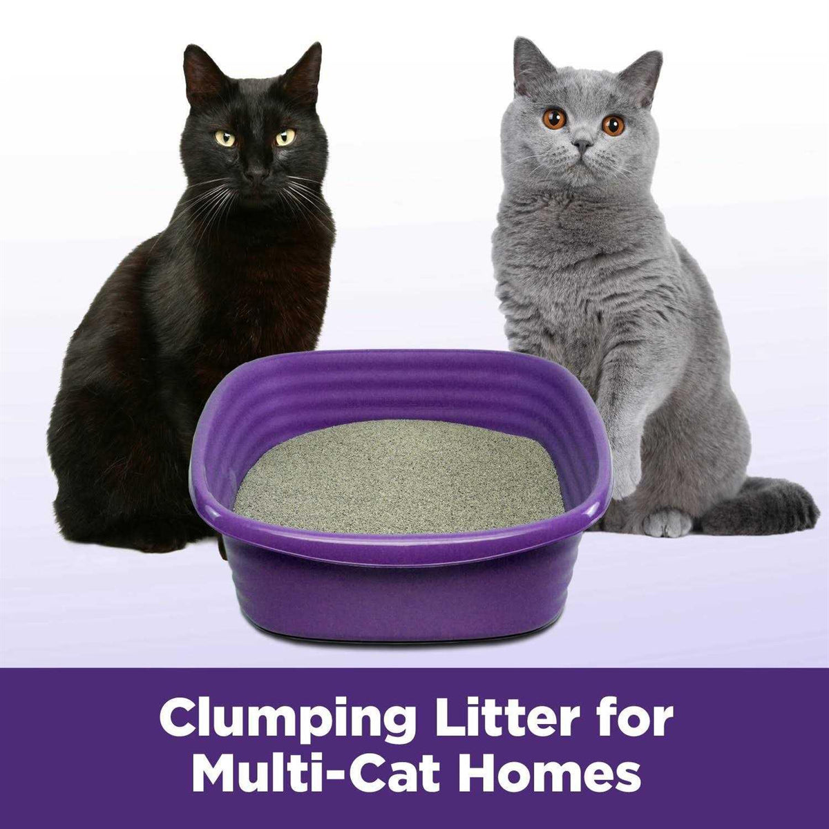 Multi-Cat Clumping Litter M99185