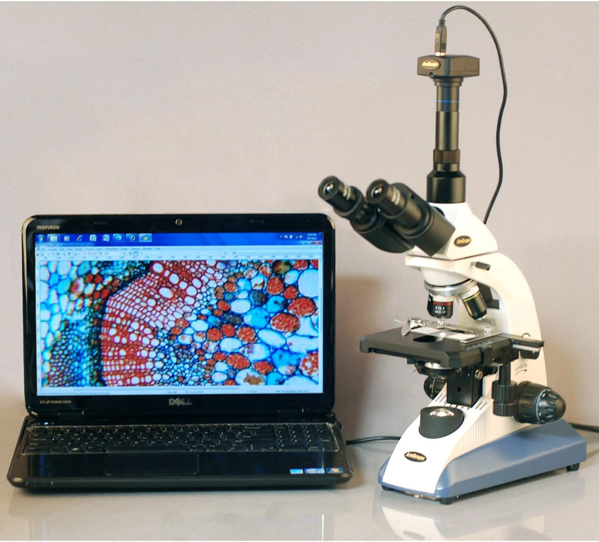 Compound Trinocular Microscope, 40X-2000X Magnification, Halogen Illumination Z306