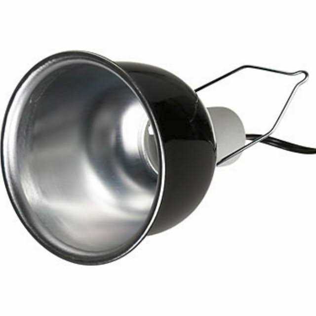 Deep Dome Lamp Fixture G80661