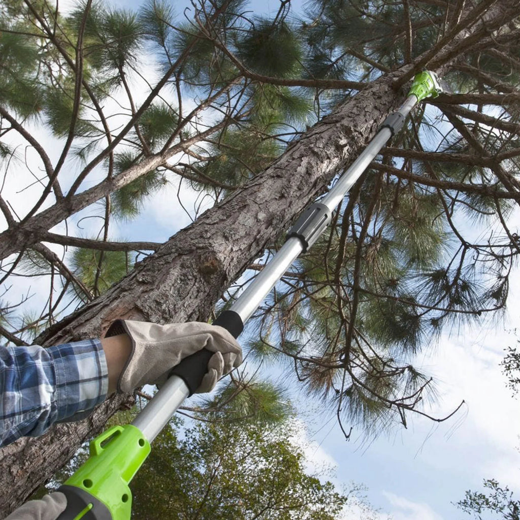 40V Cordless Battery Powered Pole Saw with 2.0 Ah Battery & Charger T662