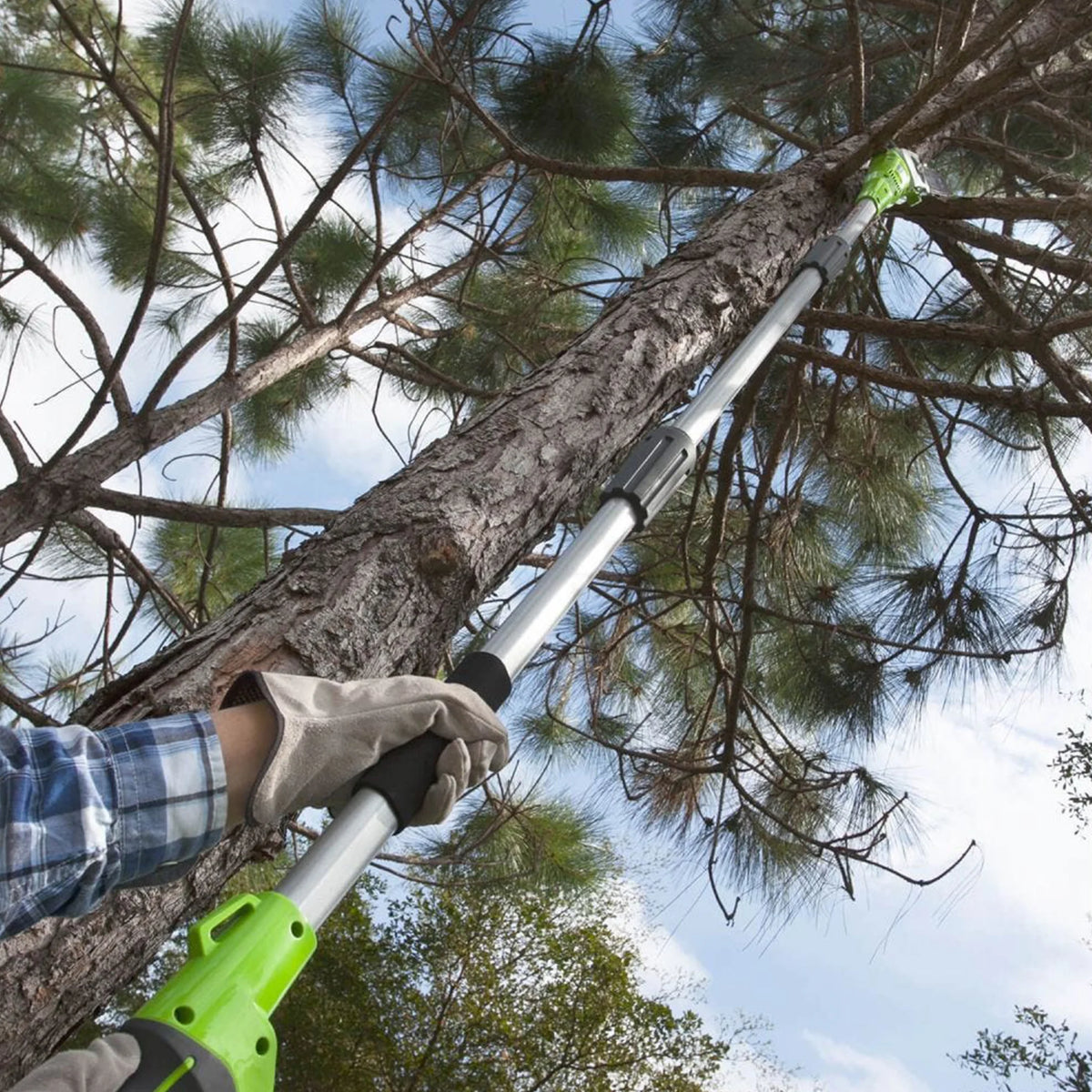 40V Cordless Battery Powered Pole Saw with 2.0 Ah Battery & Charger T662