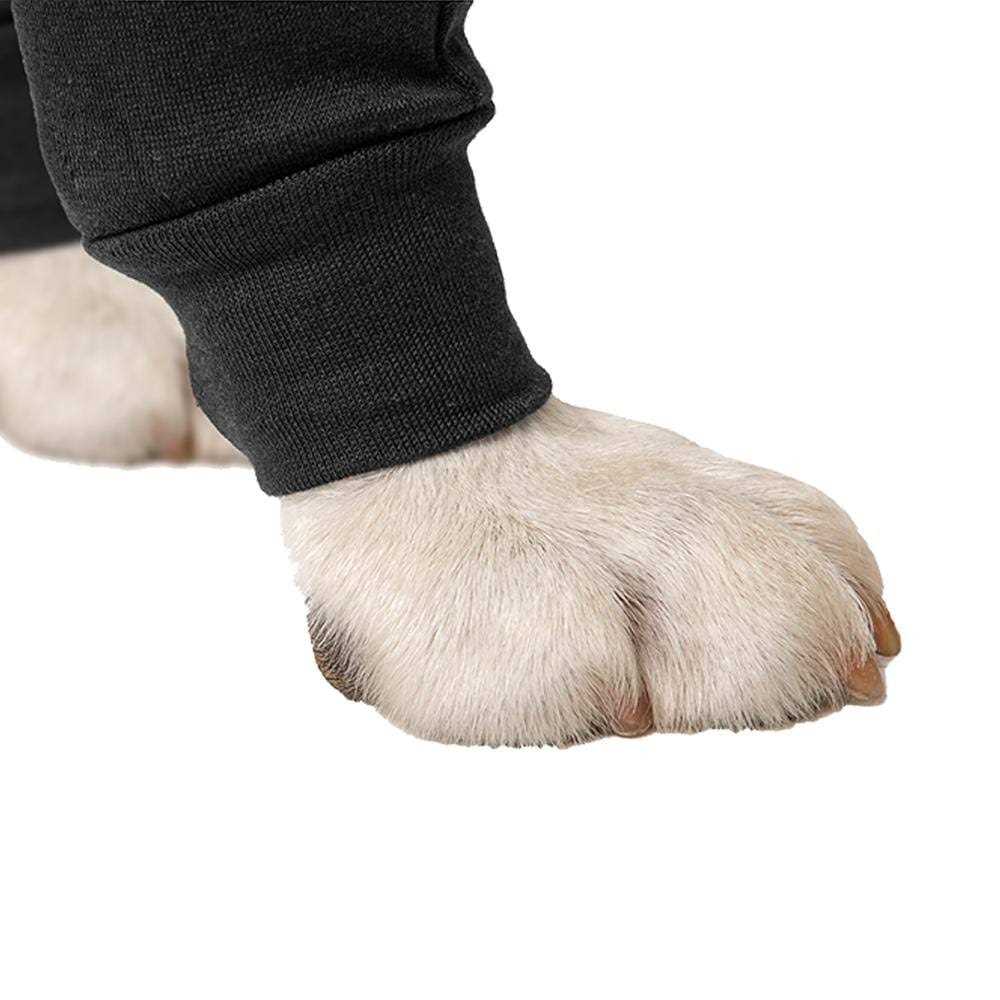 Dog Recovery Sleeves V671