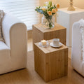 Set of 2 Natural Wood Tree Ring Pattern End Table I582808