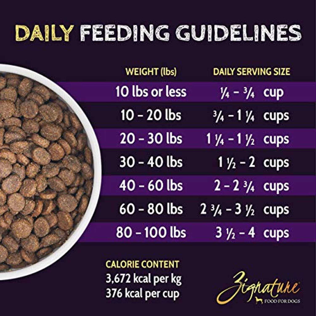 Trout & Salmon Formula Dry Dog Food M40065