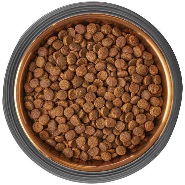 Matte Black Stainless Steel Dog & Cat Bowl S169